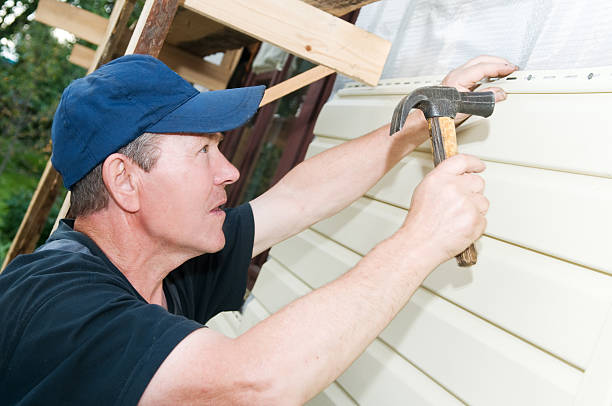 Best Stone Veneer Siding  in Brown City, MI